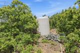 14255 20890 - Photo 24