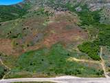 10534 Hwy 39 - Photo 4