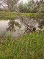  5000 - Photo 10