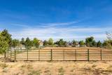 13742 Horseback Ln - Photo 57
