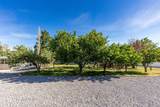 13742 Horseback Ln - Photo 65