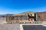 13742 Horseback Ln - Photo 9