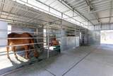 13742 Horseback Ln - Photo 10