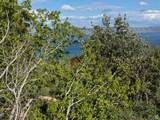 12 Aspen Pl - Photo 15