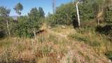 193 Holmstead Ranch Rd - Photo 6