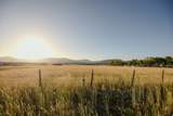 1500 Hwy 357 - Photo 11
