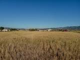 1500 Hwy 357 - Photo 13