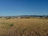 1500 Hwy 357 - Photo 14