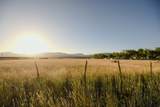 1500 Hwy 357 - Photo 10