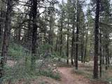 137 Kolob - Photo 1