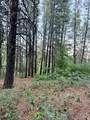 137 Kolob - Photo 16
