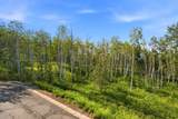 405 Silver King Dr - Photo 14