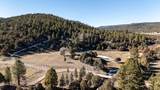 1955 Mammoth Creek Rd - Photo 1
