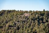 1955 Mammoth Creek Rd - Photo 11