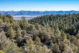 1955 Mammoth Creek Rd - Photo 15