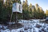 1955 Mammoth Creek Rd - Photo 17