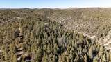 1955 Mammoth Creek Rd - Photo 18