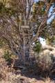 1955 Mammoth Creek Rd - Photo 20
