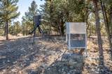 1955 Mammoth Creek Rd - Photo 21
