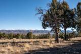 1955 Mammoth Creek Rd - Photo 22