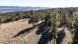 1955 Mammoth Creek Rd - Photo 23