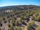 1955 Mammoth Creek Rd - Photo 24