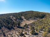 1955 Mammoth Creek Rd - Photo 25