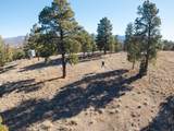 1955 Mammoth Creek Rd - Photo 26