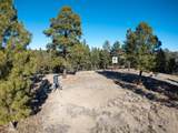 1955 Mammoth Creek Rd - Photo 27