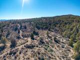 1955 Mammoth Creek Rd - Photo 28