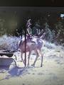 1955 Mammoth Creek Rd - Photo 30