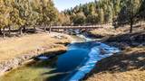 1955 Mammoth Creek Rd - Photo 4