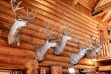 1955 Mammoth Creek Rd - Photo 32