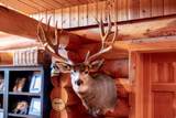 1955 Mammoth Creek Rd - Photo 34