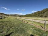 2006 Swenson Valley Rd - Photo 13