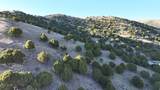 2006 Swenson Valley Rd - Photo 20