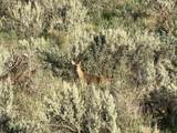 2006 Swenson Valley Rd - Photo 4