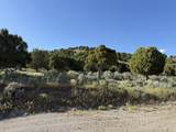 2006 Swenson Valley Rd - Photo 33