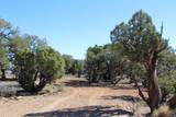316 Pinion Branch North Dr - Photo 19