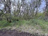 144 Bear Tooth Rdg - Photo 21