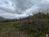 144 Bear Tooth Rdg - Photo 24
