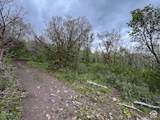 144 Bear Tooth Rdg - Photo 25