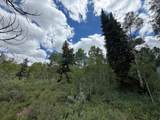 5451 Targhee Dr - Photo 9