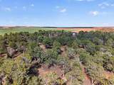 1104 Eastland Rd - Photo 31