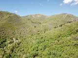 22465 Elk Meadow Dr - Photo 9