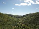 22465 Elk Meadow Dr - Photo 10