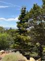 2163 High Cedar Dr - Photo 11