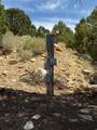 2163 High Cedar Dr - Photo 13