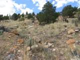 700 Spring Canyon Dr - Photo 19