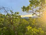 1556 Tree Top Ln - Photo 1